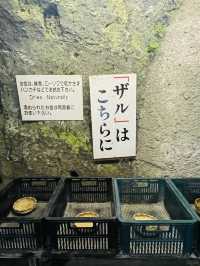 【神奈川県】お金を洗って金運アップ！銭洗弁財天宇賀福神社