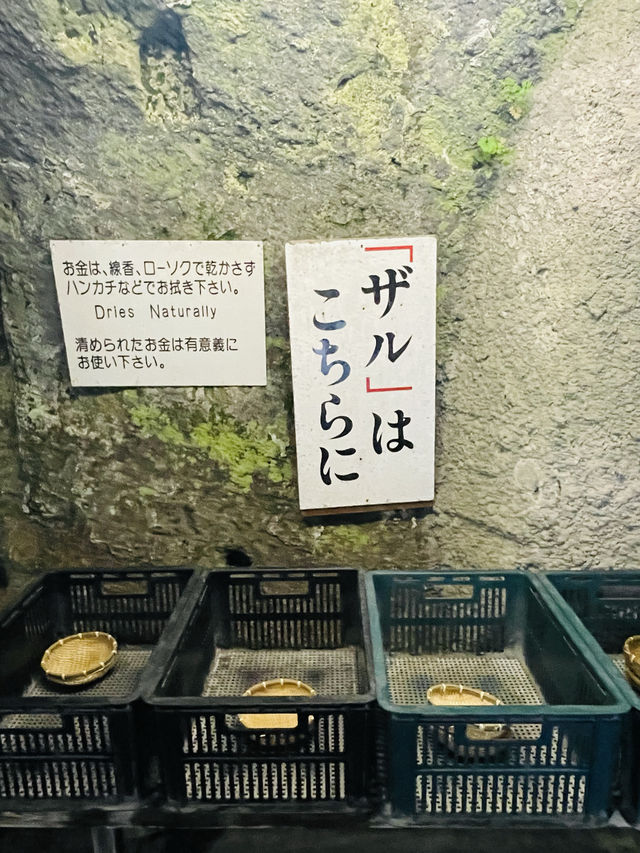 【神奈川県】お金を洗って金運アップ！銭洗弁財天宇賀福神社