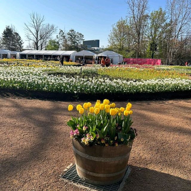 Floriade - Canberra