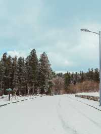 ❄️눈오는날 사람없는 제주여행지 [제주, 제주안전체험관]