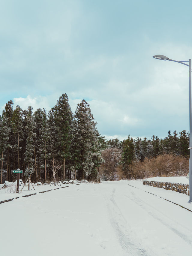 ❄️눈오는날 사람없는 제주여행지 [제주, 제주안전체험관]