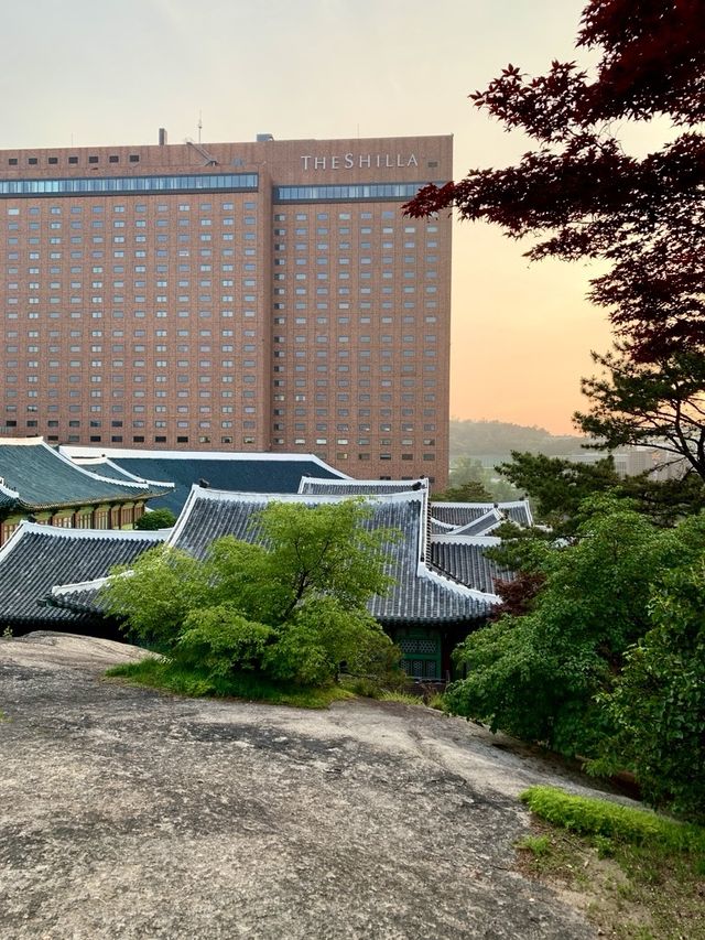 고즈넉하고 우아한 분위기에서 발렌타인데이를 즐기고 싶다면~? 🌟신라호텔 더 라이브러리를 추천드려요!