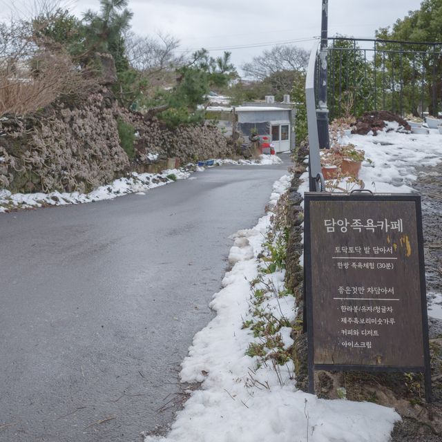 제주 겨울 숲의 진수 제주 겨울 숲의 진수