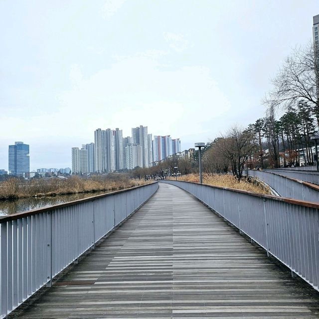 경기도에서 가장 큰 호수공원 <광교호수공원>❤️