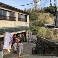 “Enoshima” วันเดียวเที่ยวไม่พอ