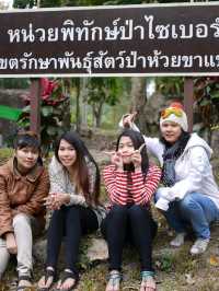 น้ำตกไซเบอร์