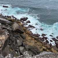 Royal national Watamolla beach Sydney Austral