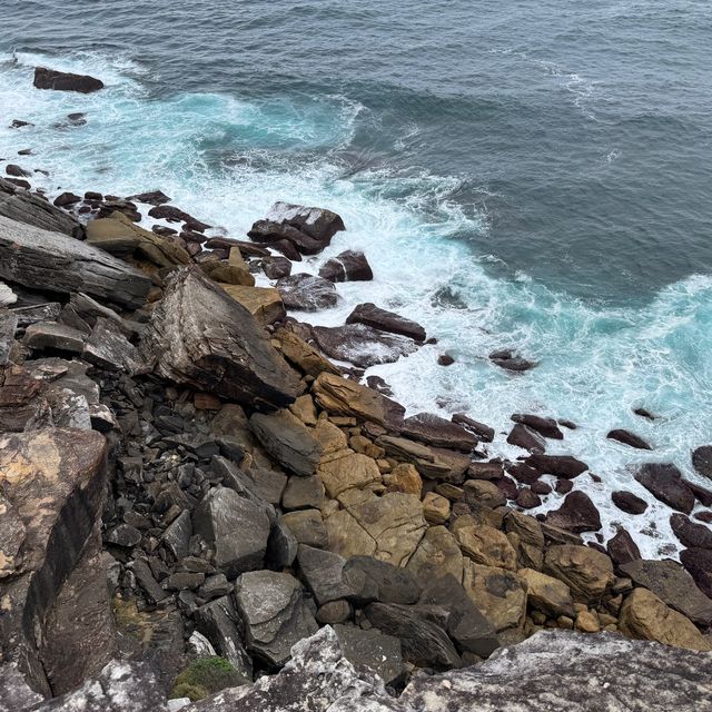 Royal national Watamolla beach Sydney Austral