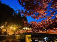 Korankei is a must-visit destination