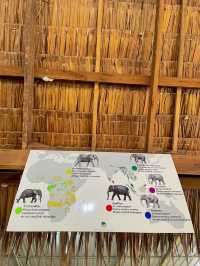 Krabi Elephant Shelter (Sanctuary)