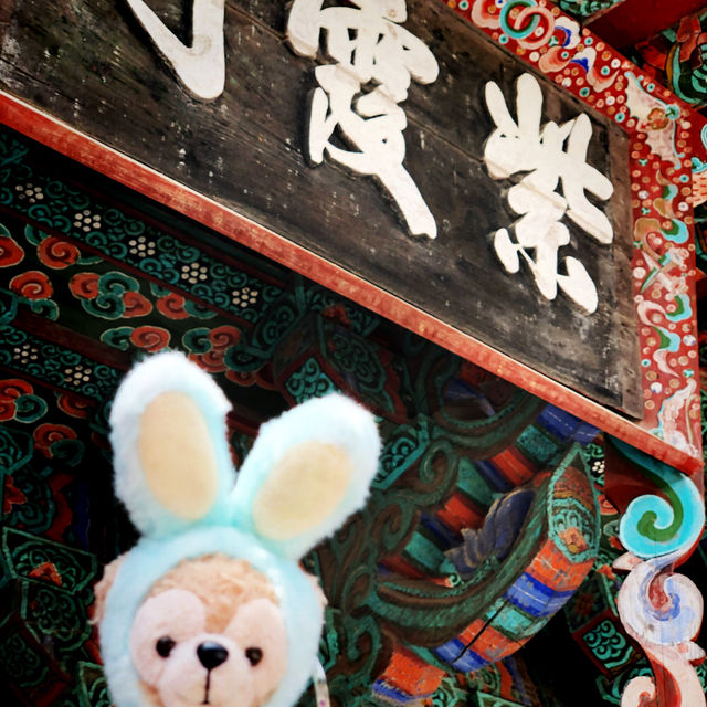 【慶州 佛國寺】世界文化遺產 賞櫻熱門地點🌸