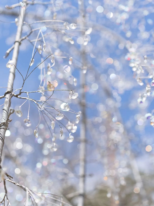 【東京都近郊】3月に行きたいお花かわかわいスポットまとめ