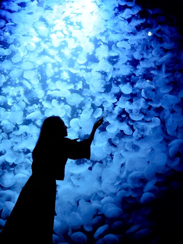 【山形】世界一のクラゲ水族館