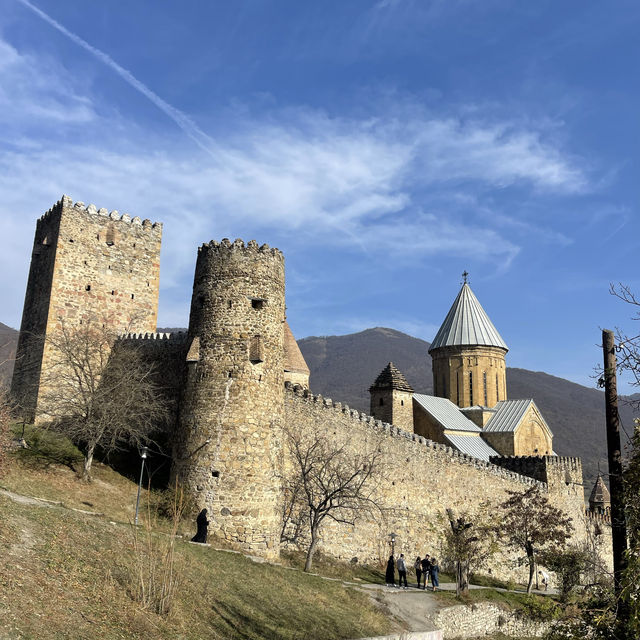 Beautiful panoramic view of Zhinvali lake 