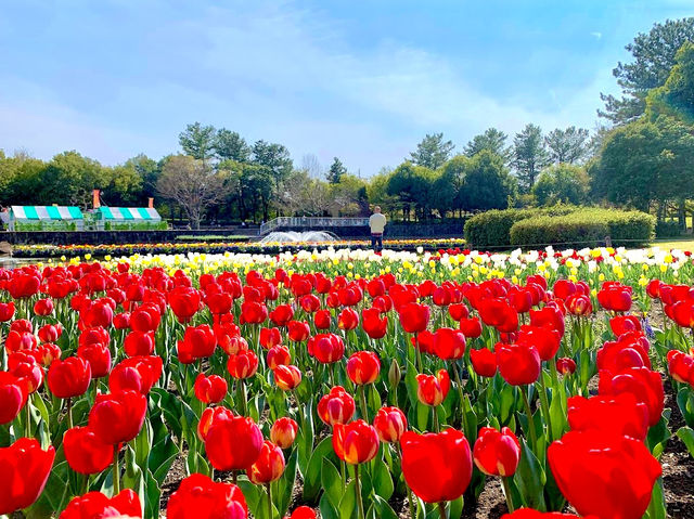 Kiso Sansen Park Center