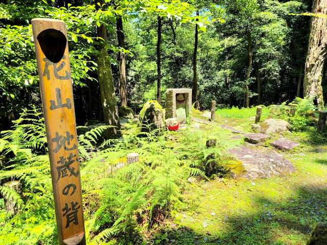 Mt. Kasuga Primeval Forest