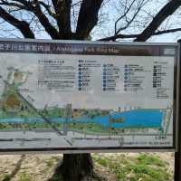 名古屋市の桜名所「荒子川公園」