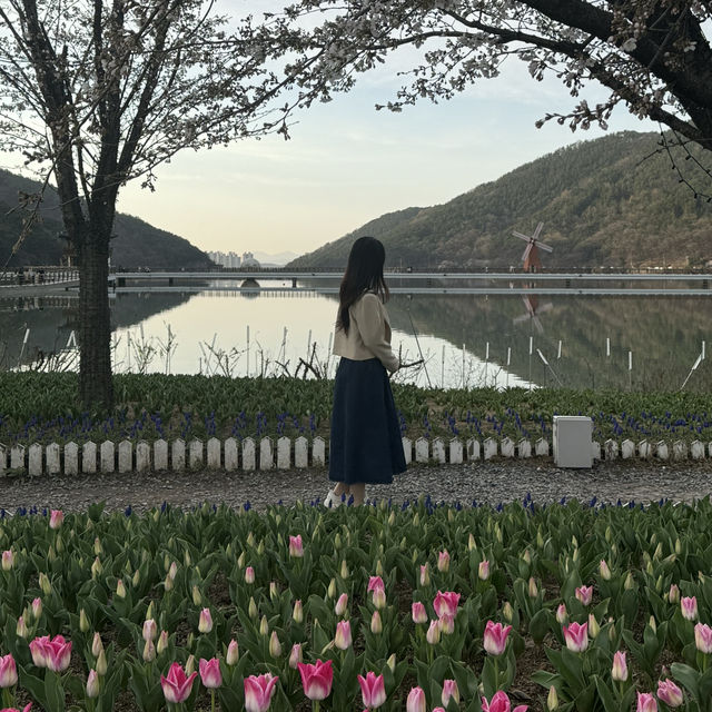 달성군 꽃놀이 하기 좋은 옥연지 송해공원 