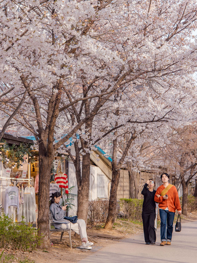 Gyeongui Line Forest Park จุดชมพ็อตกตย่านฮงแด