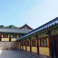 한국의 역사를 담은 경주 불국사를 다녀오며 ☸️