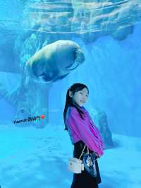 #海洋公園x小王子