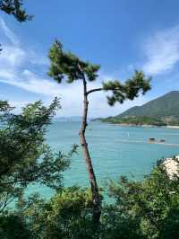  남해 바다가 한눈에 보이는 더뷰1151 🩵