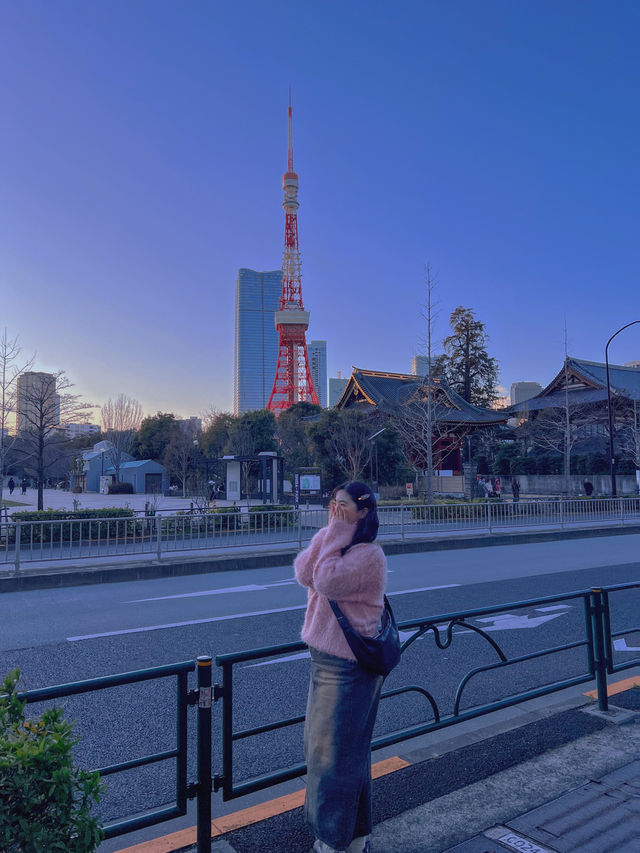 도쿄타워를 가까이서 볼 수 있는 도쿄 시바 공원🗼