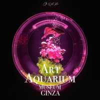 Art Aquarium museum, Ginza … เมื่องานศิลปะถูกจับมา