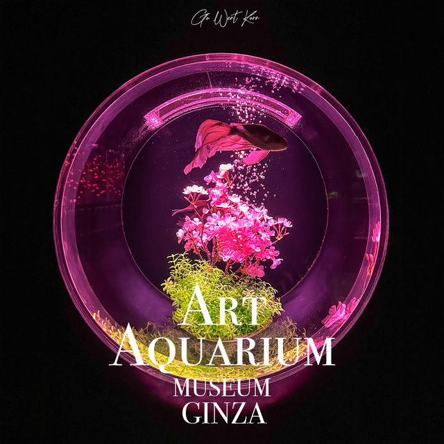 Art Aquarium museum, Ginza … เมื่องานศิลปะถูกจับมา