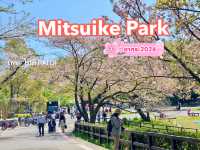 Mitsuike Park 1ใน100จุดชมซากุระที่ดีที่สุดญี่ปุ่น