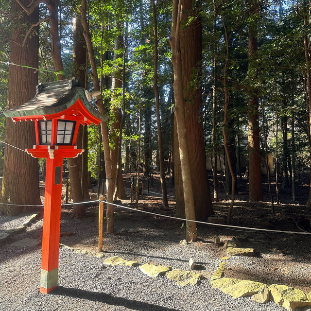 【霧島神宮】值得參觀的古老神社⛩️