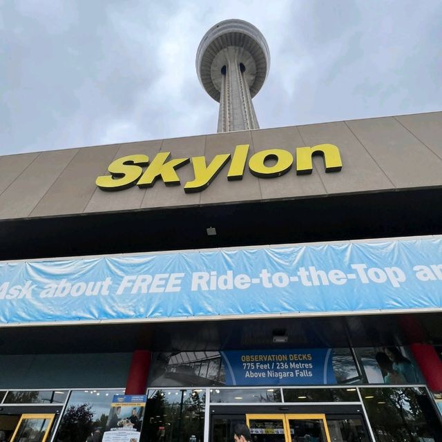 🌸❣️Skylon Tower