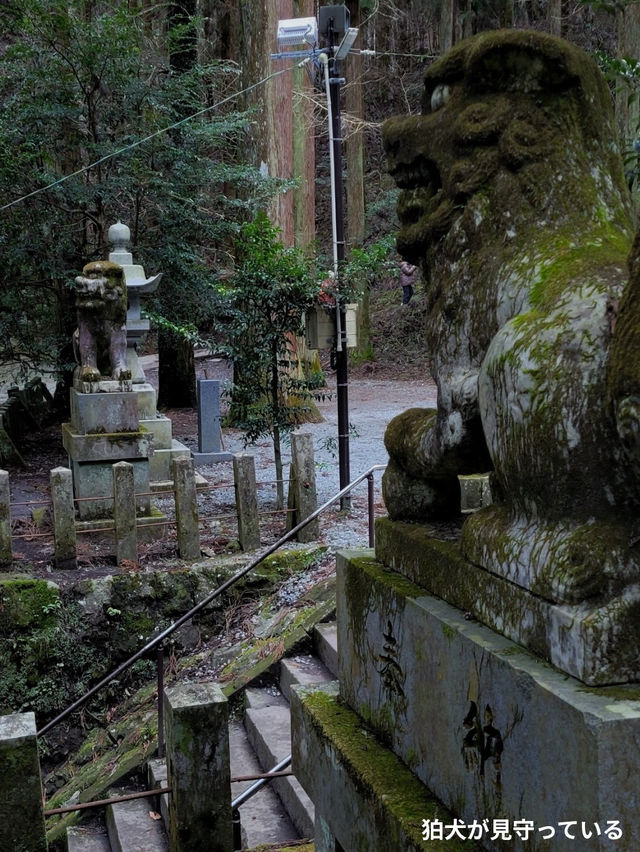 【まるで異世界⛩️✨阿蘇のパワースポット】
