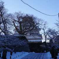 Tsuruga Castle