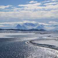 Hvitserkur