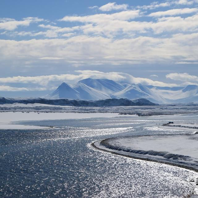 Hvitserkur