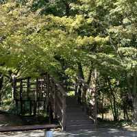 「龍正院」：高蹺藝術手法、獨特園景，春天好去處