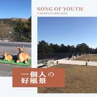 奈良公園景點懶人包💕