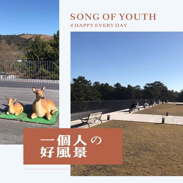 奈良公園景點懶人包💕
