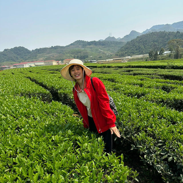 thơ mộng bên màu xanh núi đồi