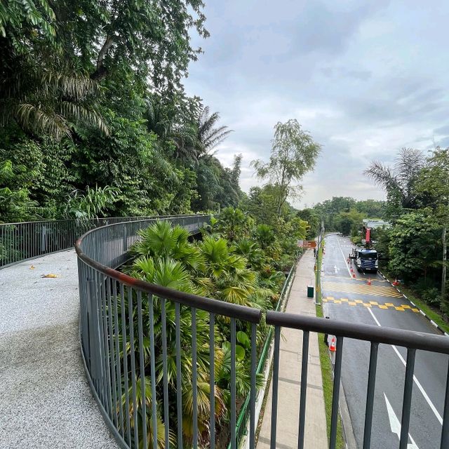 Botanical Garden Singapore
