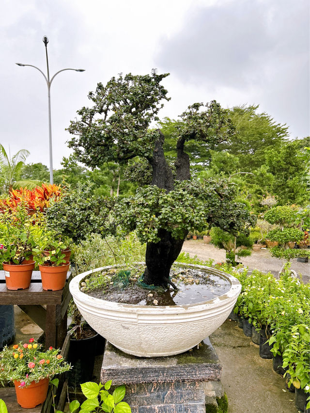 Why Choose AGRO Nursery?