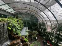 Butterfly Garden