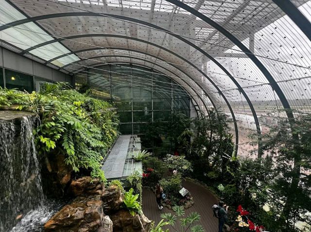 Butterfly Garden