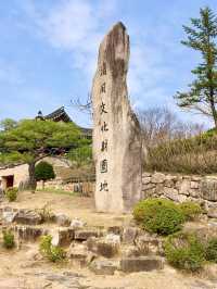 【忠清北道】南韓清風文化財園地：穿越朝鮮王朝，感受韓國傳統韻味