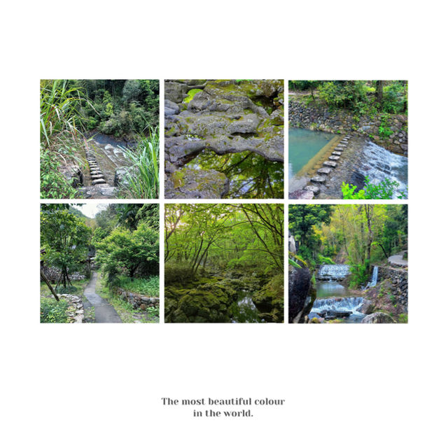 【台灣春天好去處】玉山國家公園：杜鵑花海，追尋春日之美的最佳目的地