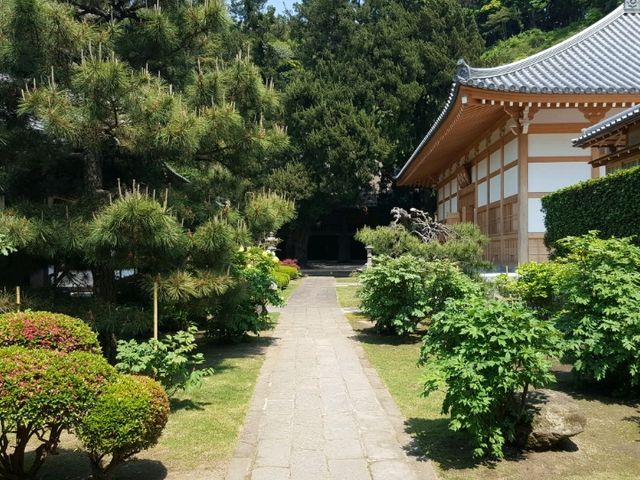 A calm visit to Kencho-ji at Kamakura