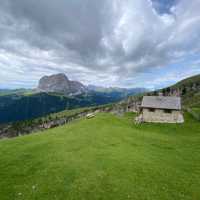 Stevia Hutte