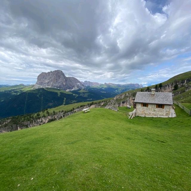 Stevia Hutte