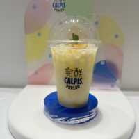 大阪　発酵CALPISパーラー